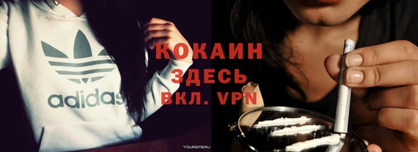 индика Алексин
