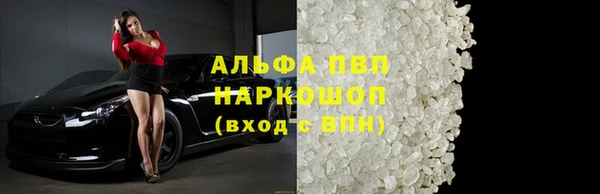 индика Алексин