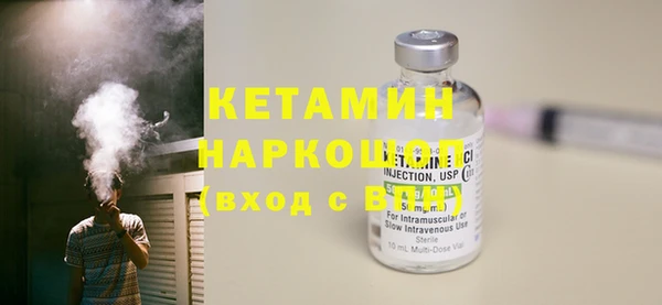 индика Алексин