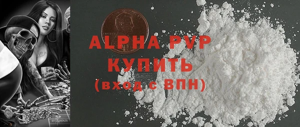 индика Алексин