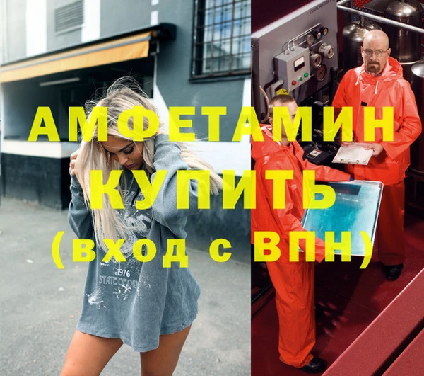 индика Алексин
